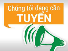 lĩnh vực hoạt động
